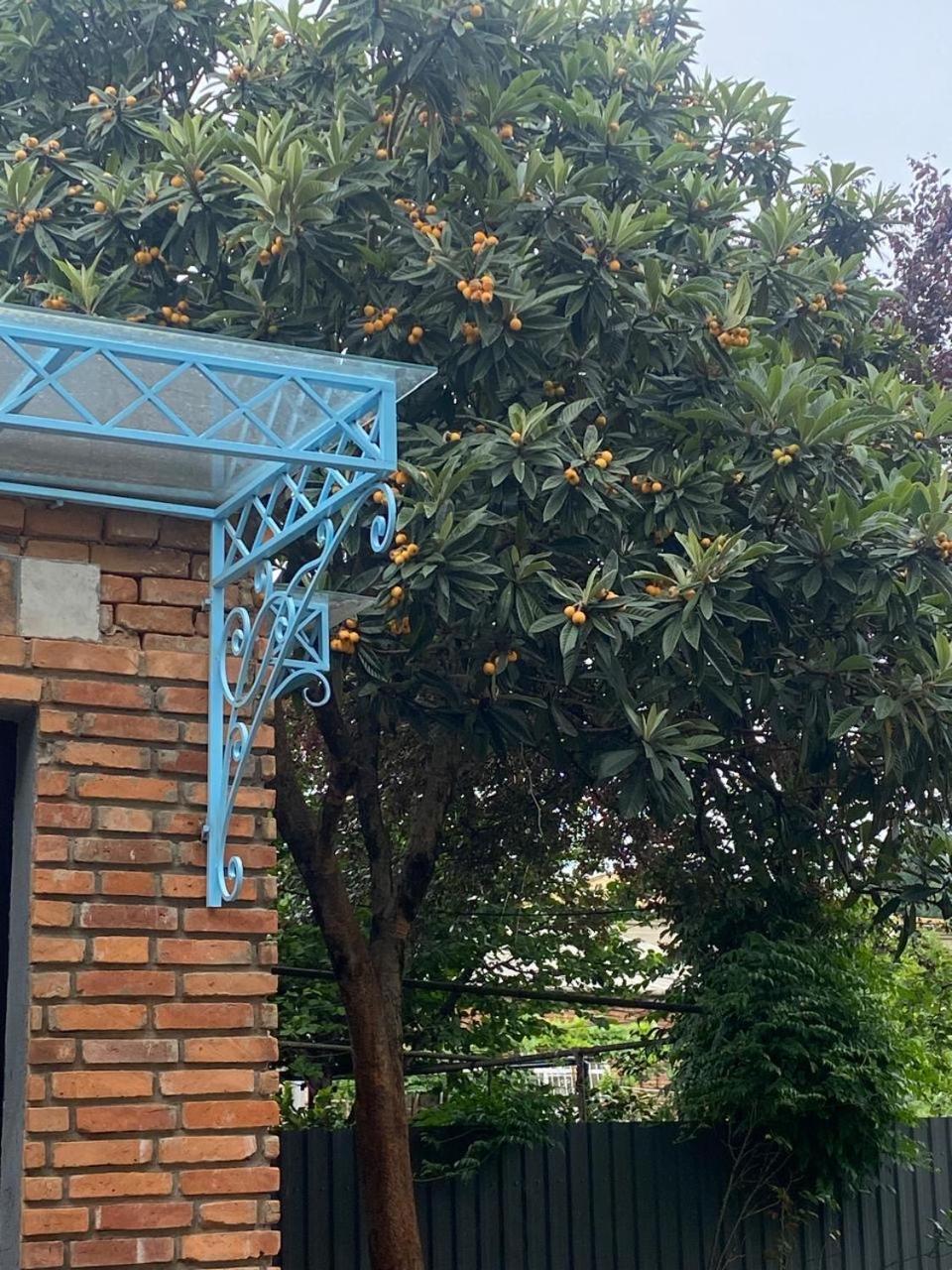 Hotel Varla Kutaisi Exteriér fotografie